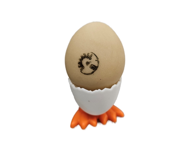 Marsepein ei groot